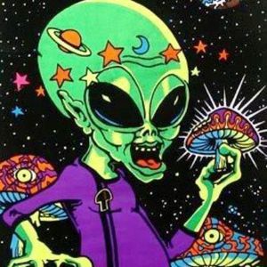 Meet your Posher, Teddy